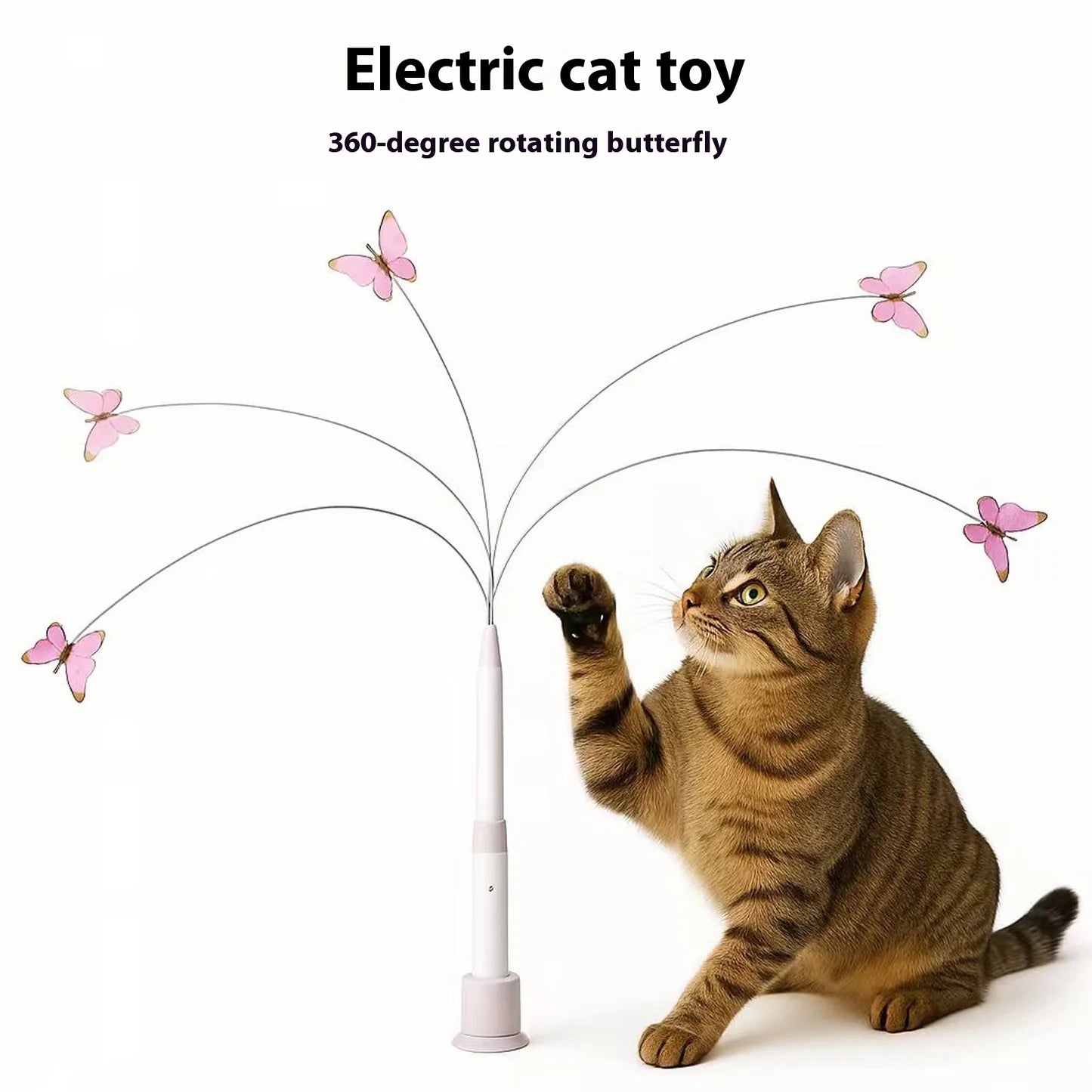 Wild Wing Chase™ for cats | Purrfect - day