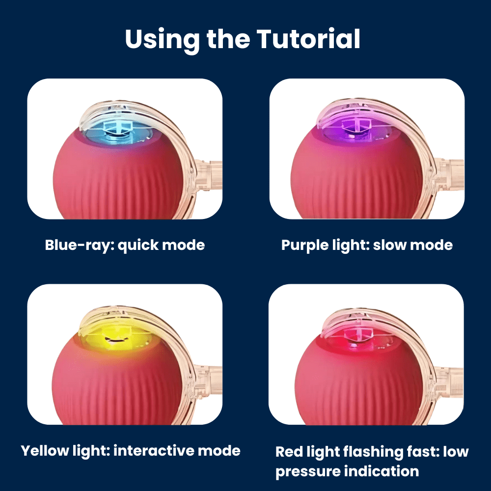 Interactive Rolling Ball™ for cats | Purrfect - day