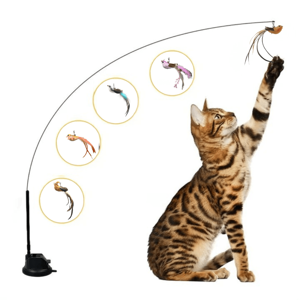Self - Play Hunting Motion for cats | Purrfect - day