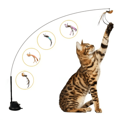 Self - Play Hunting Motion for cats | Purrfect - day