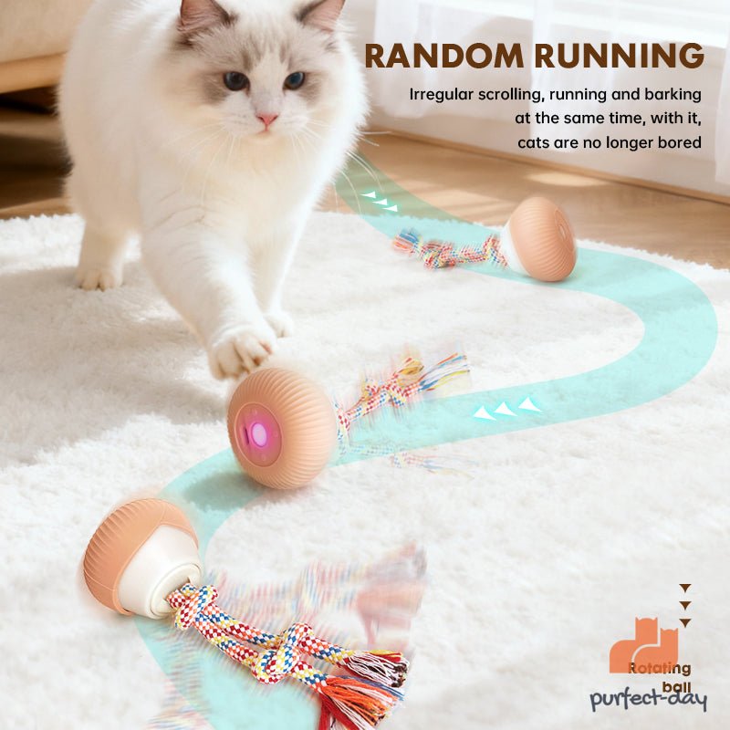 ROTATING BALL CAT TOY for cats | Purrfect - day