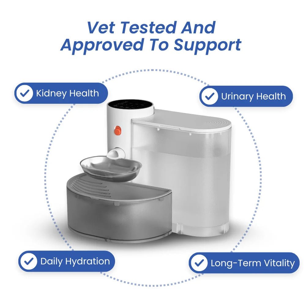 Aqua Bot 2.0 | Filter - Free Cat Water Fountain for cats | Purrfect - day