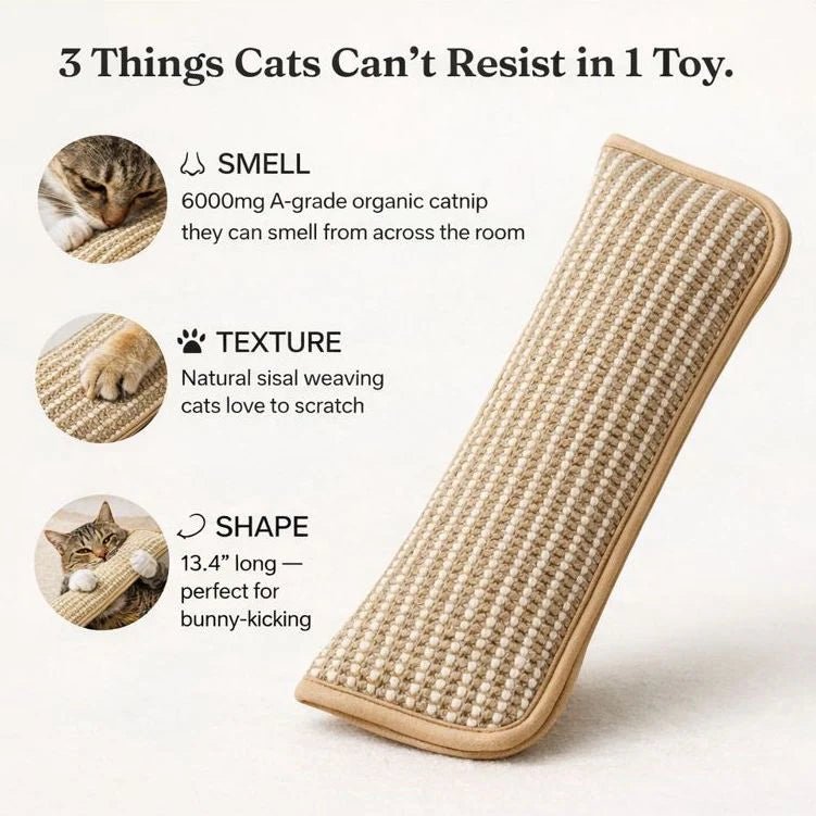 Bite & Buff Cat Pillow for cats | Purrfect - day