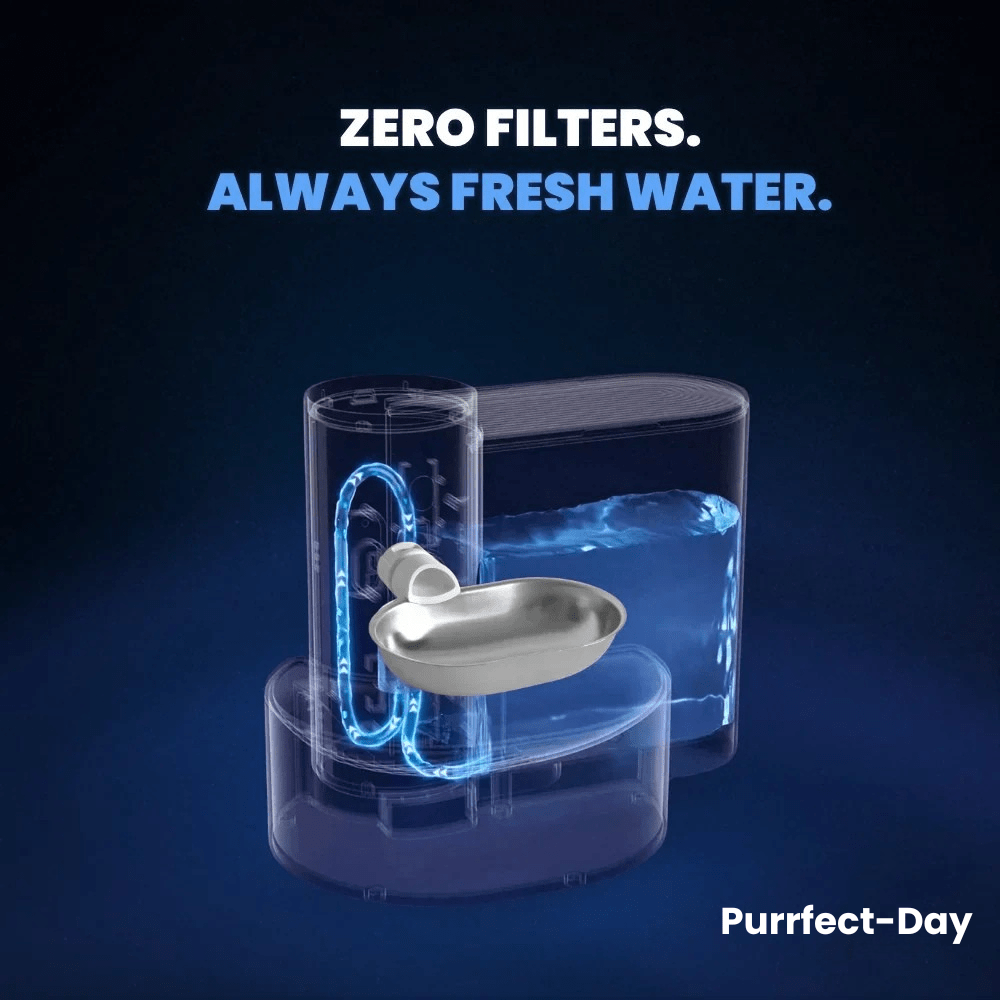 Aqua Bot 2.0 | Filter - Free Cat Water Fountain for cats | Purrfect - day