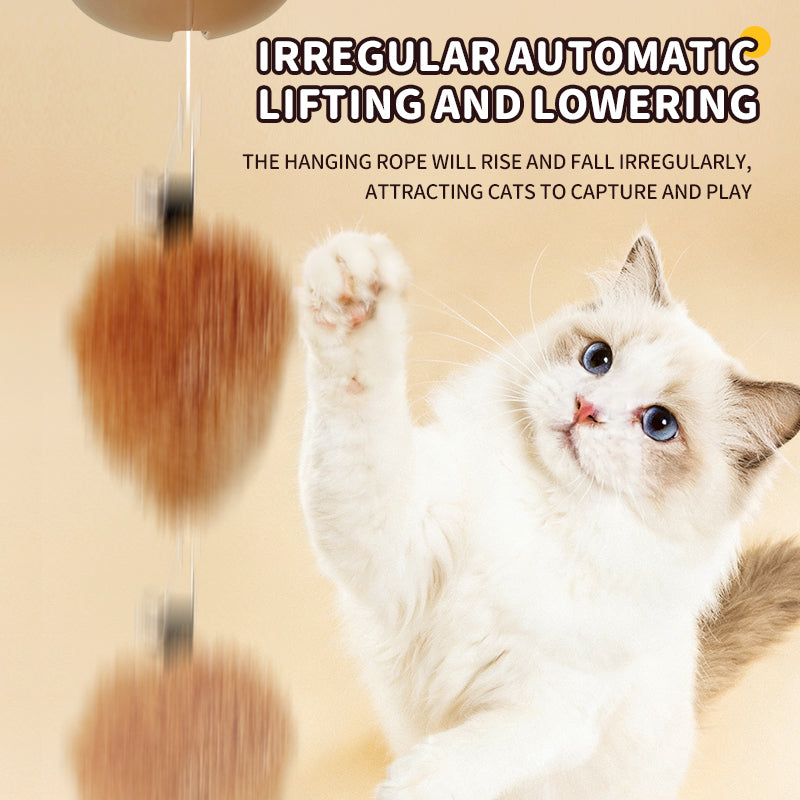 Capybara Pop-Up™ Interactive Cat Toy