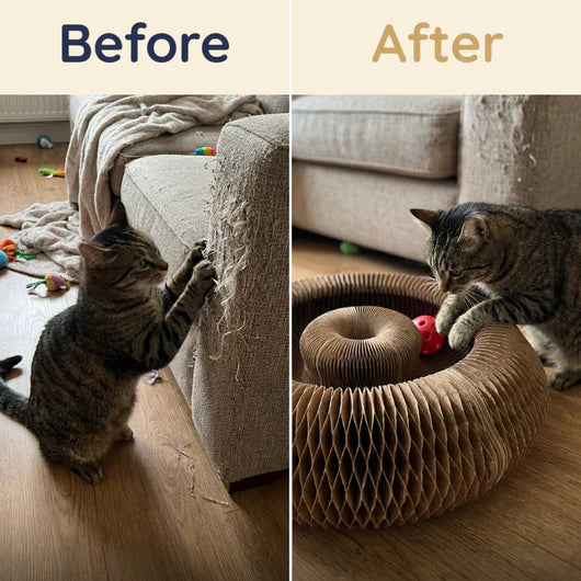 KittySpin™ | 2-in-1 Scratcher & Ball Track