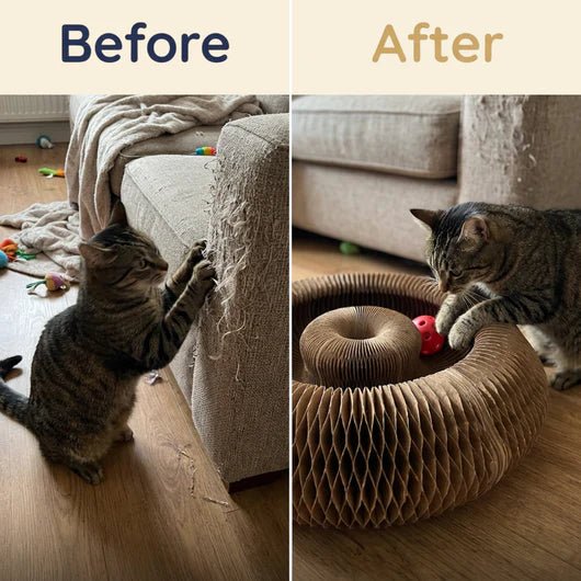 KittySpin™ | 2 - in - 1 Scratcher & Ball Track for cats | Purrfect - day