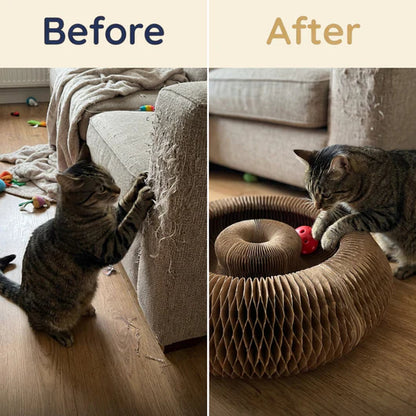 KittySpin™ | 2-in-1 Scratcher & Ball Track
