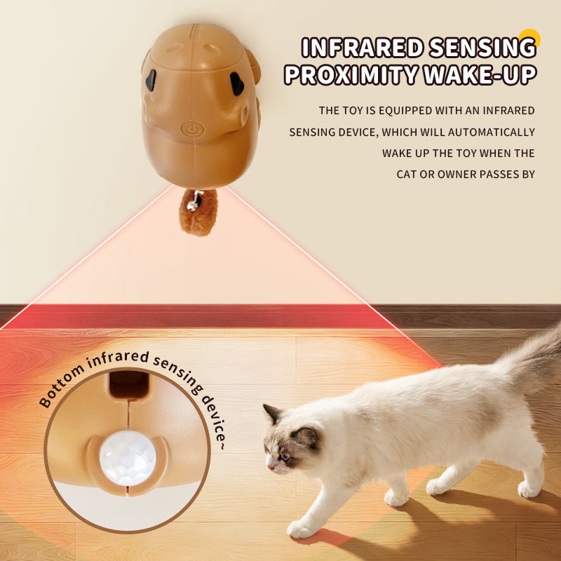 Capybara Pop - Up™ Interactive Cat Toy for cats | Purrfect - day