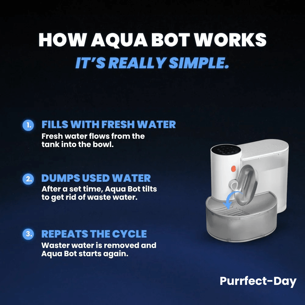 Aqua Bot 2.0 | Filter - Free Cat Water Fountain for cats | Purrfect - day