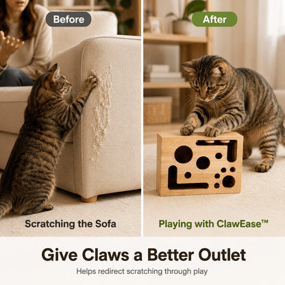 ClawEase™ Cat Nail Filing Box