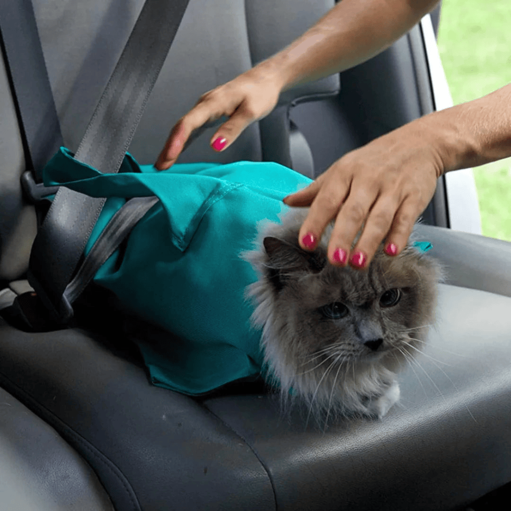 Cat Carrier for cats | Purrfect - day