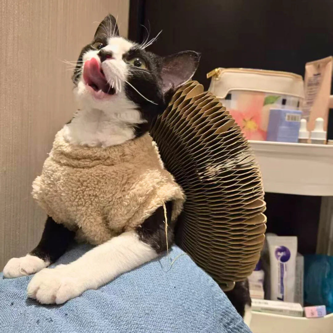 Not a Gimmick — Built Around Real Cat Behavior
