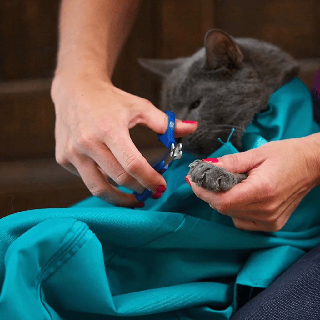 Cat Carrier for cats | Purrfect - day
