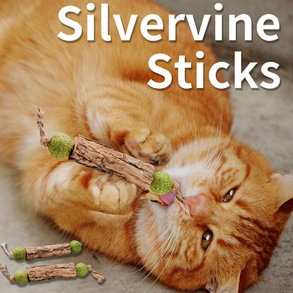 VineChew™ Natural Silvervine & Catnip Chews — 3 Pack