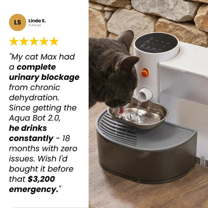 Aqua Bot 2.0 | Filter - Free Cat Water Fountain for cats | Purrfect - day