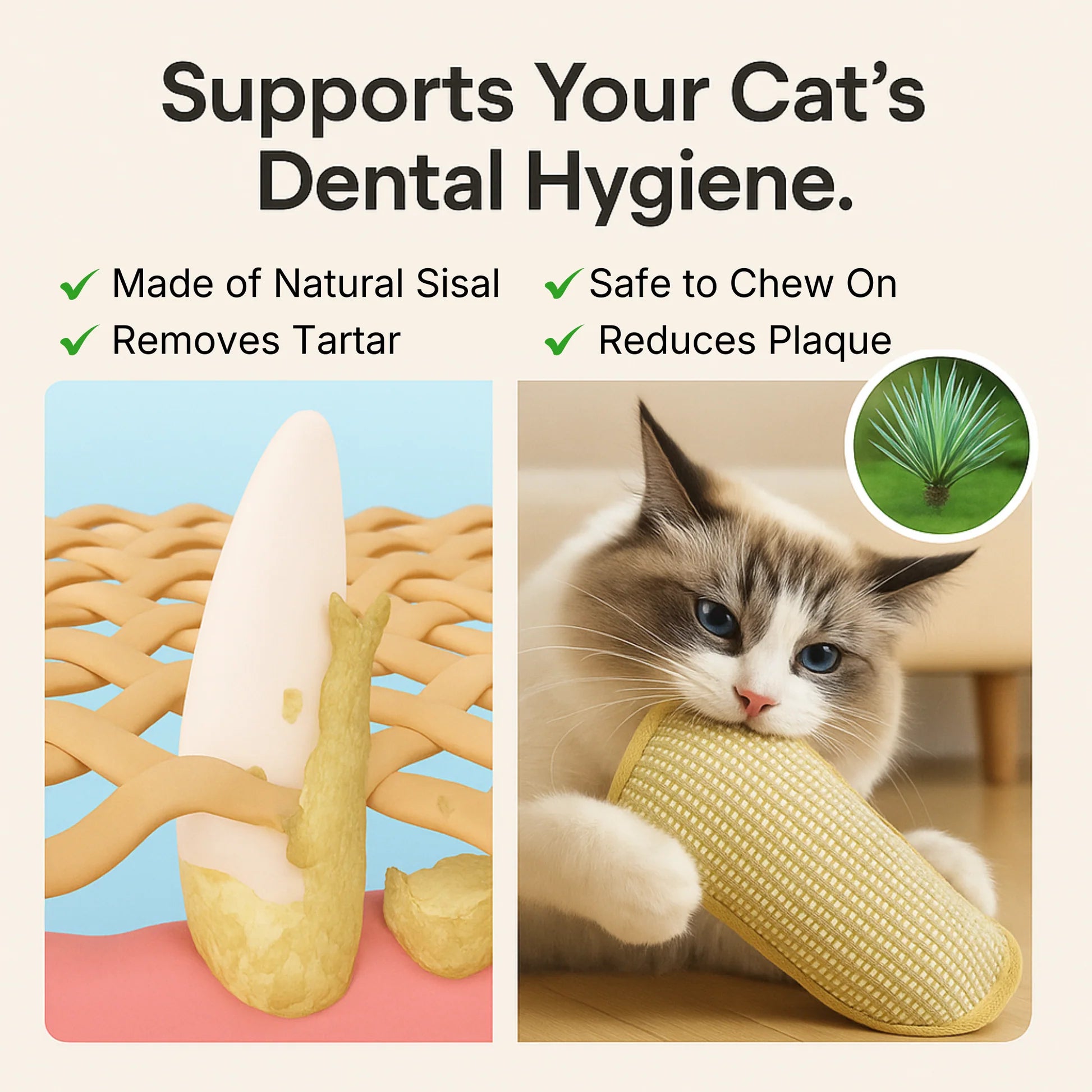 Bite & Buff Cat Pillow for cats | Purrfect - day
