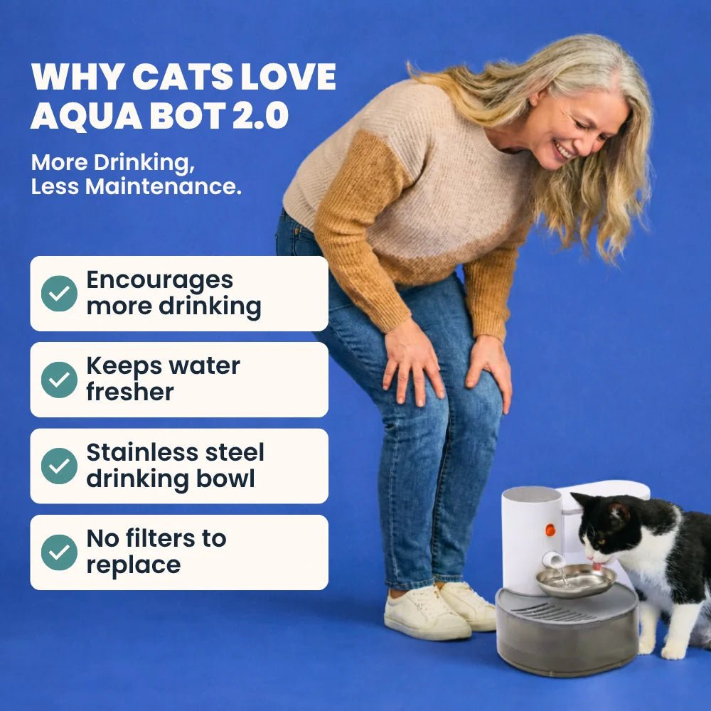 Aqua Bot 2.0 | Filter - Free Cat Water Fountain for cats | Purrfect - day