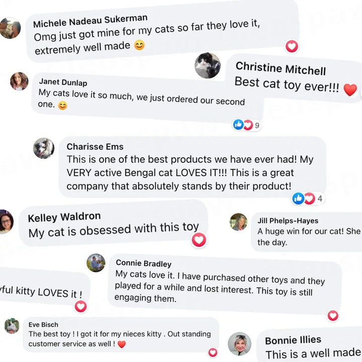 Self-Play Hunting Motion