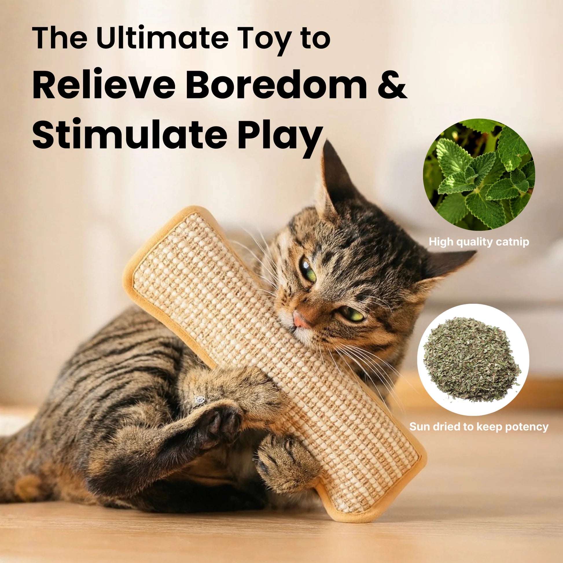 Bite & Buff Cat Pillow for cats | Purrfect - day
