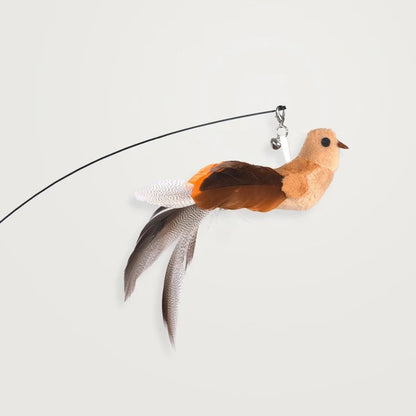 Self-Play Hunting Motion