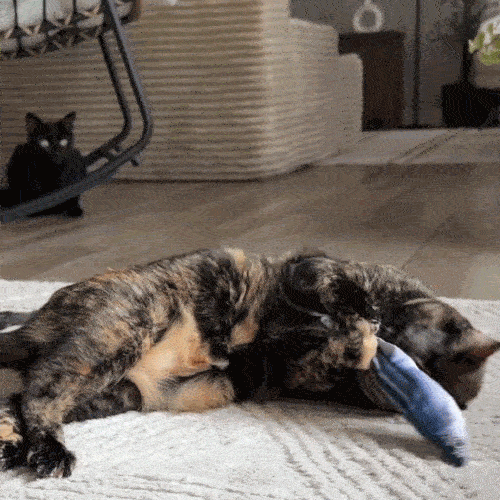It Replicates Real Prey to Instantly Trigger Their Hunting Instincts.