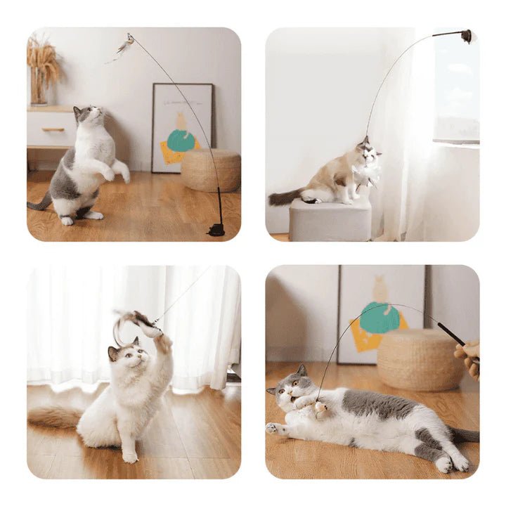 Self - Play Hunting Motion for cats | Purrfect - day