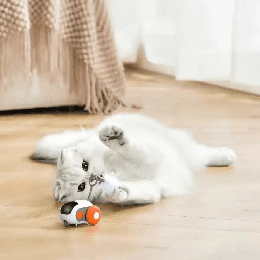 TURBO TAIL 2.0 for cats | Purrfect - day