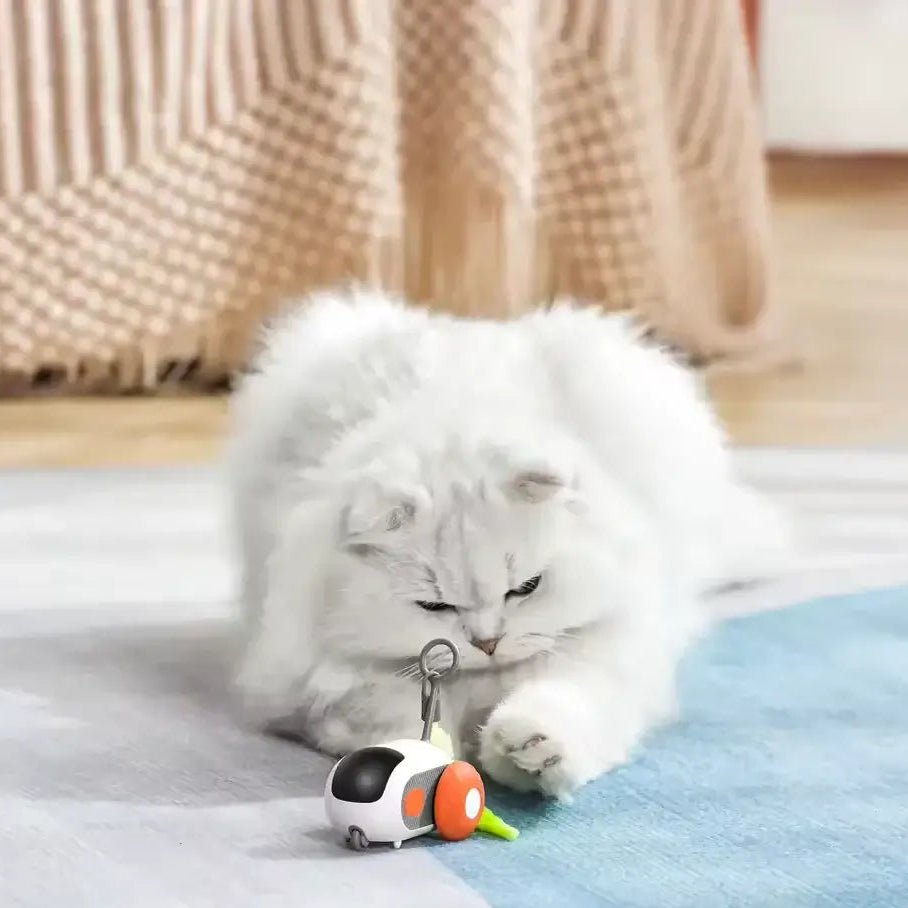 TURBO TAIL 2.0 for cats | Purrfect - day