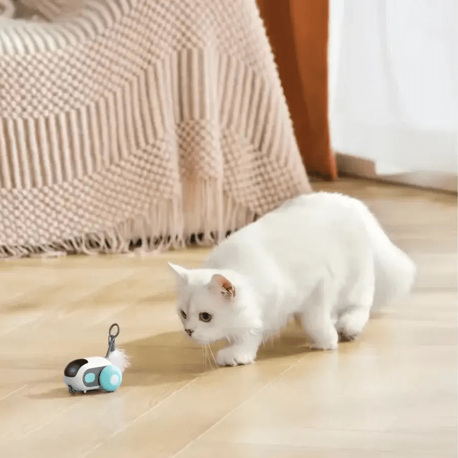 TURBO TAIL 2.0 for cats | Purrfect - day