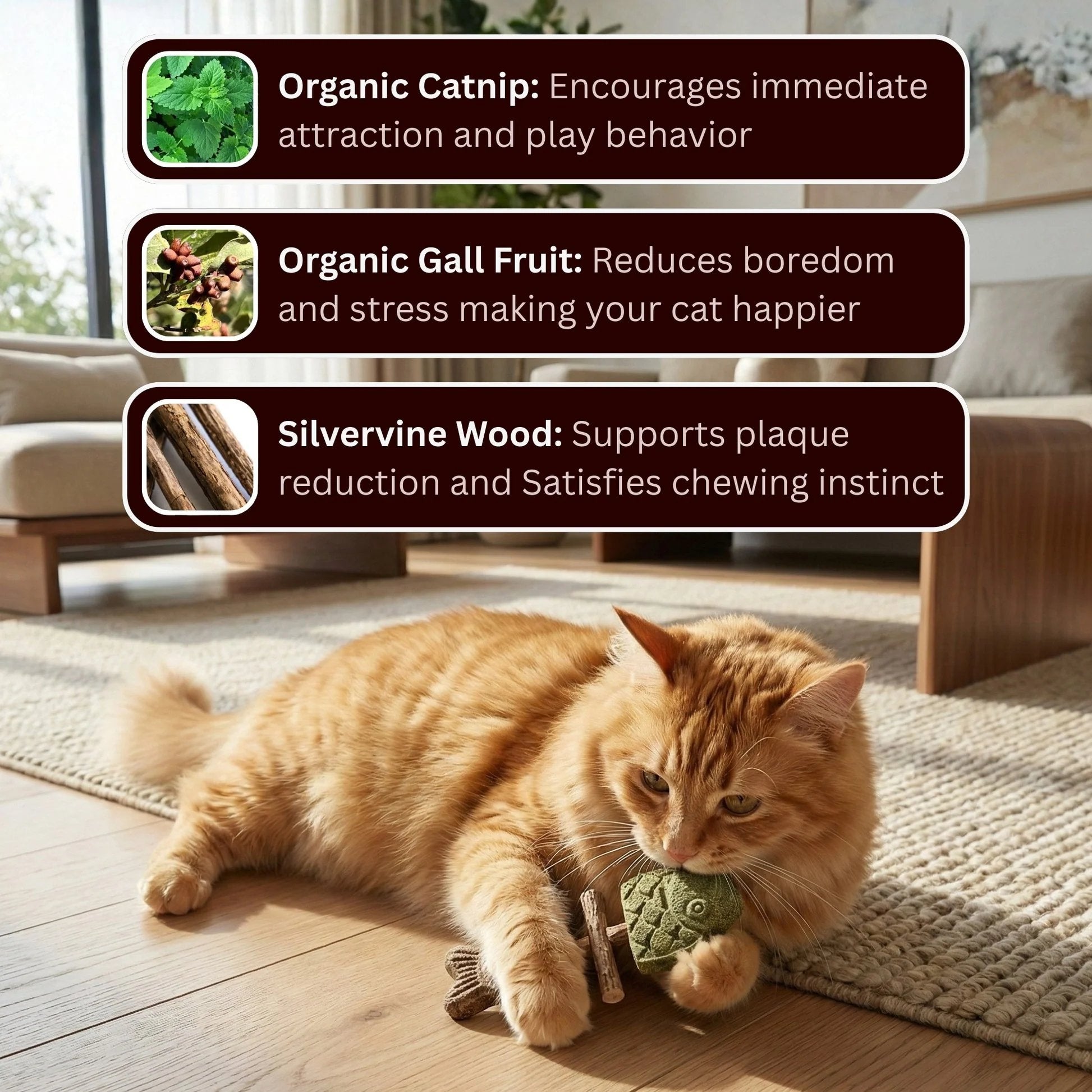 PurrBite™ 3-in-1 Catnip & Silvervine Chew