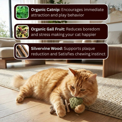 PurrBite™ 3-in-1 Catnip & Silvervine Chew
