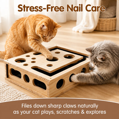 Two cats play with the ClawEase wooden nail filing puzzle box