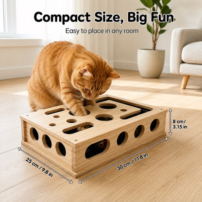 Orange cat using the compact ClawEase puzzle box, 30 by 25 by 8 centimeters