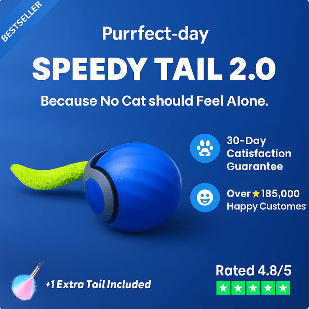 PlayPack™ – Custom Cat Toy Bundle for cats | Purrfect - day