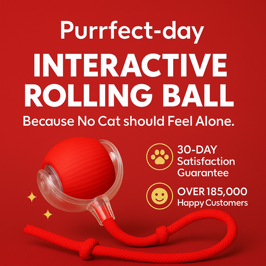 Interactive Rolling Ball™