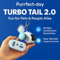 PlayPack™ – Custom Cat Toy Bundle for cats | Purrfect - day