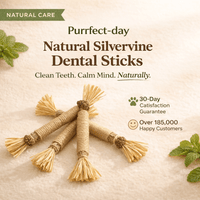 Natural Silvervine Dental Sticks for cats | Purrfect - day