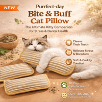 Bite & Buff Cat Pillow for cats | Purrfect - day