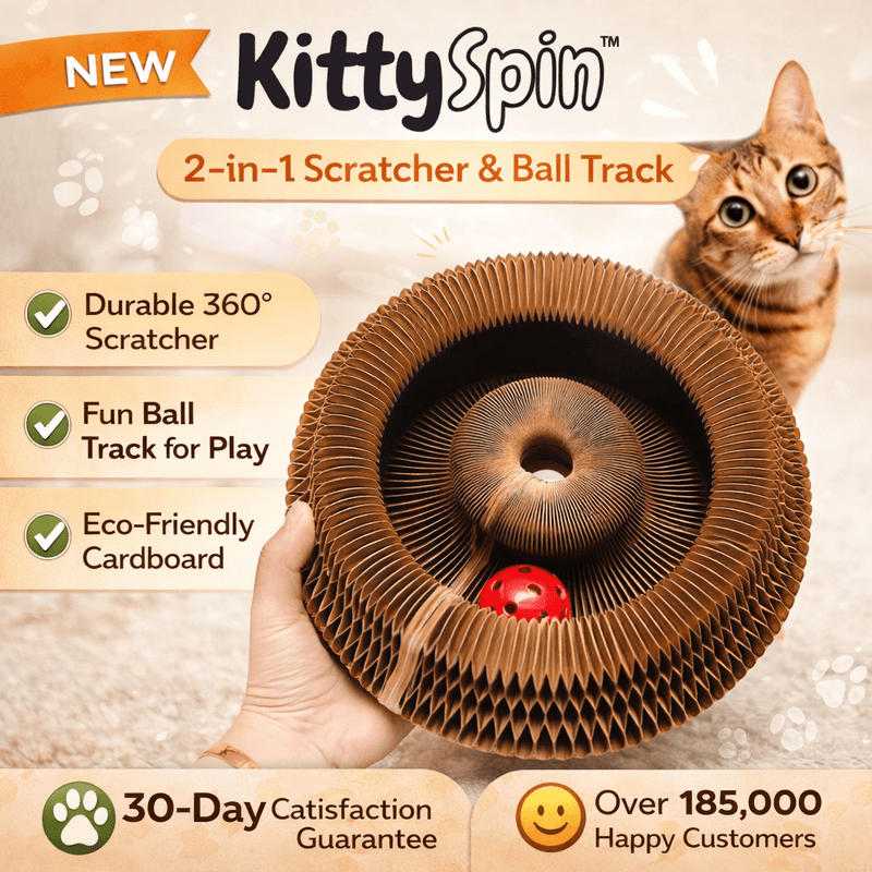 KittySpin™ | 2 - in - 1 Scratcher & Ball Track for cats | Purrfect - day
