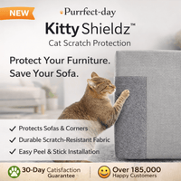 Cat Scratch Protection for cats | Purrfect - day