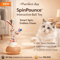 ROTATING BALL CAT TOY for cats | Purrfect - day