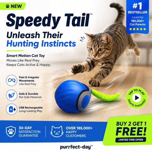 SPEEDY TAIL 2.0