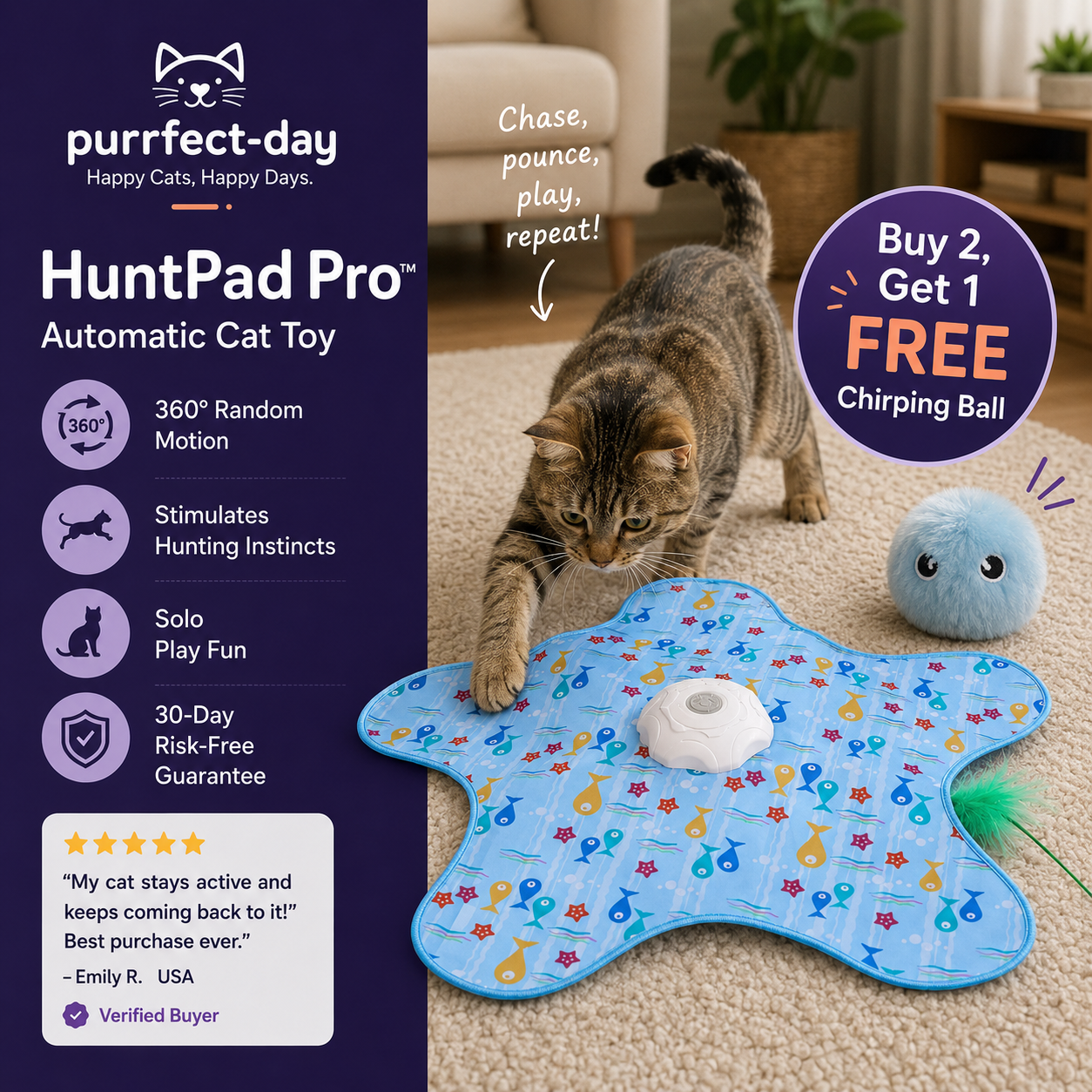 Special Bundle Offer