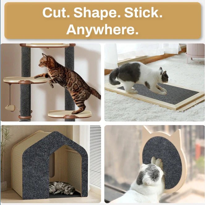 Cat Scratch Protection for cats | Purrfect - day