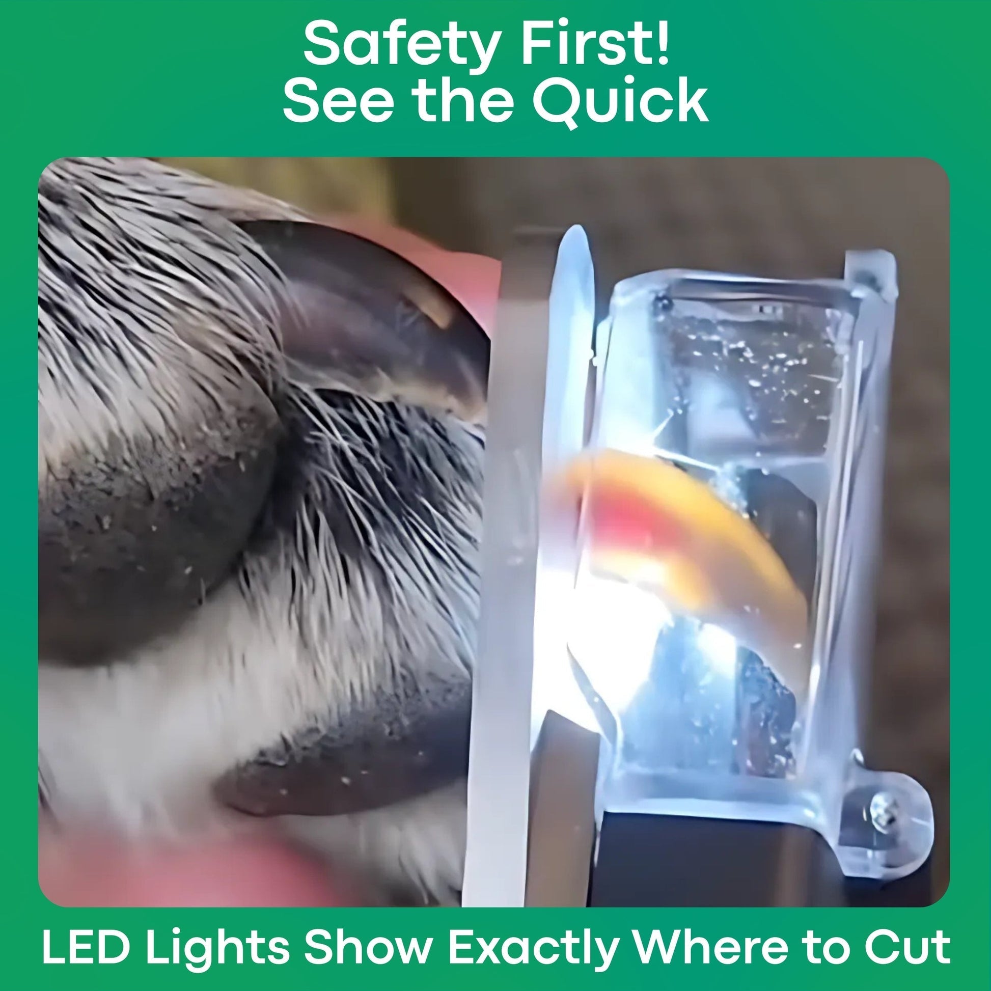 SafeTrim for cats | Purrfect - day