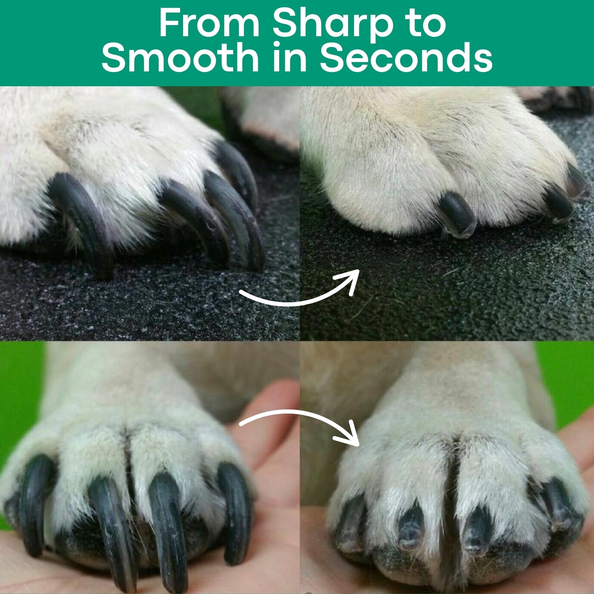 SafeTrim for cats | Purrfect - day