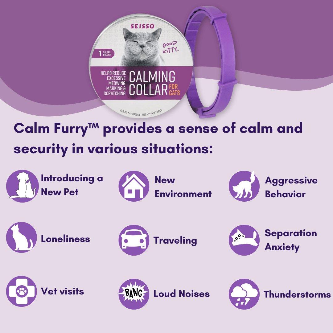 CalmFurry Pheromone Collar for cats | Purrfect - day