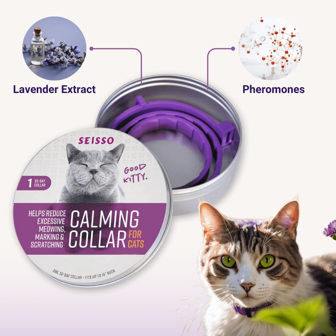 CalmFurry Pheromone Collar for cats | Purrfect - day