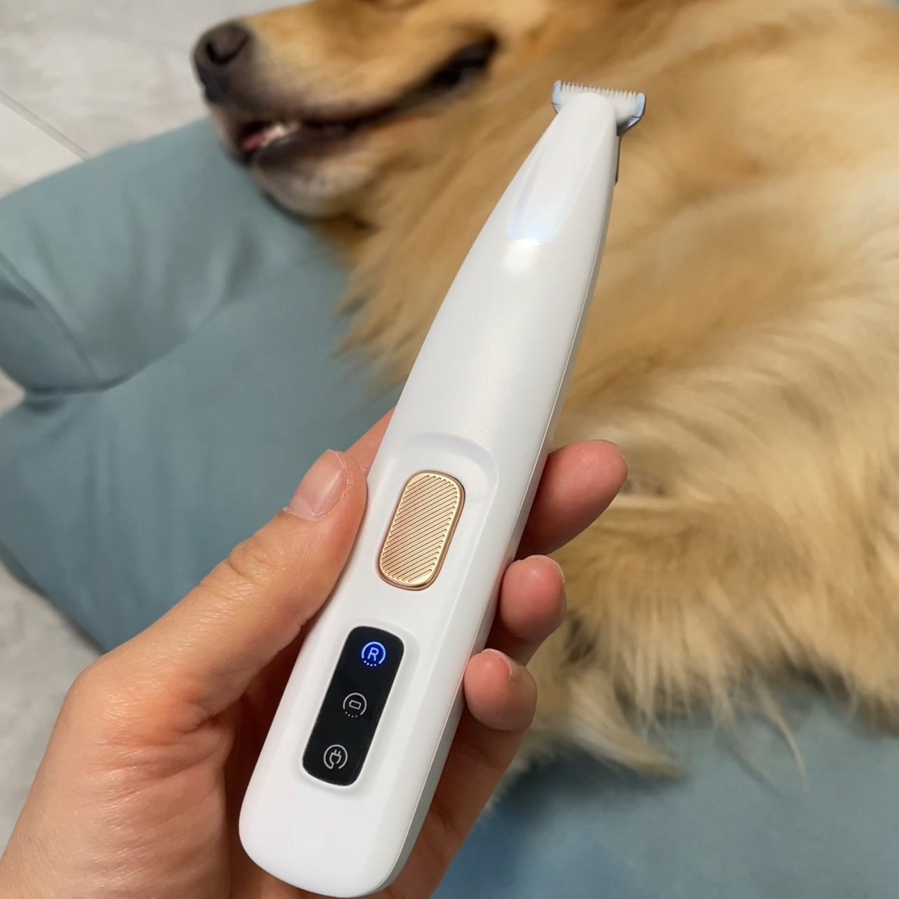 Pet Hair Trimmer™ for cats | Purrfect - day